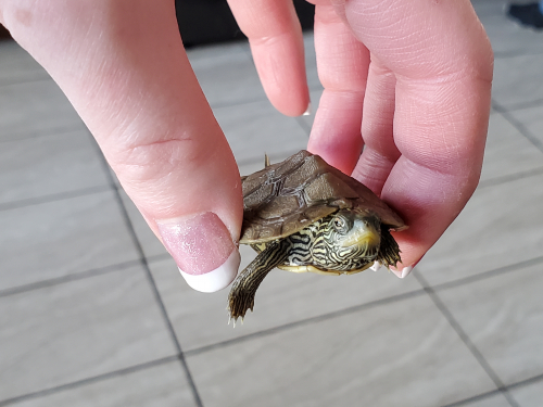 79c429fb13082010d669b86150dfdcb6-huge-20