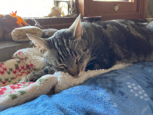 7f6fbb6c2d1b288cc6b7275a4f472c69-huge-th