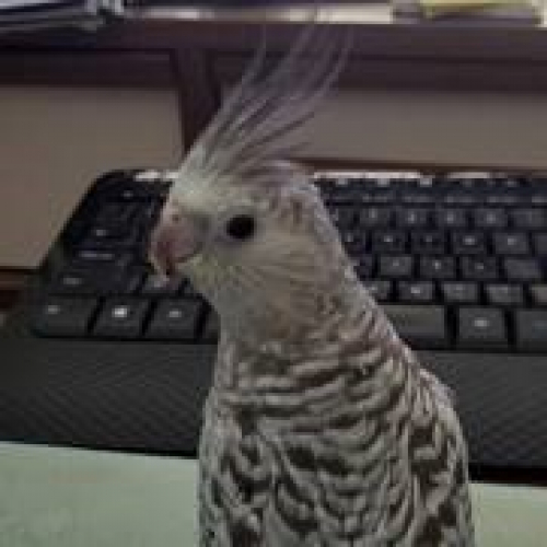 8a314fcc93880f4021c4fca2b3c009c9-huge-me