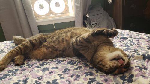 a3bec3041d38cab2ee94aa0e1e22bbe0-huge-mi