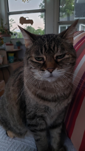 d1f9da97441365e07550619c10adfe4a-huge-mo