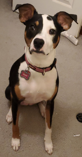 d217cabcfc91da182dbb5bc45ed0c7cf-huge-ma