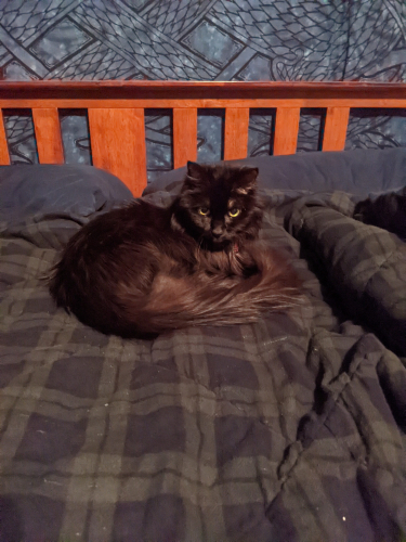 ed79a3268397a04f3a0a8f68b93acbd1-huge-px