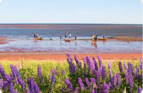 1e39eac9f1540223543fa9af4139b21f-huge-im