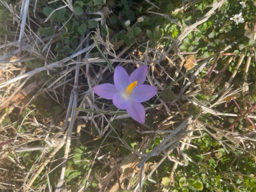 1c22098e140da5fcd9c77569edcd91c8-huge-cr