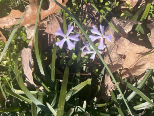 1e974507c6b70ee84a5e8882091f8e3d-huge-fl