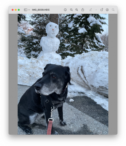 32d9ebf8b3948bd7e35531e5fb74356c-huge-in