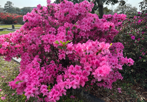 5ea2007c7516922cde797aefa6a0ab52-huge-mi