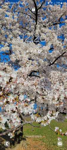 535ab48d5a39bd841f3056f116236f77-huge-lo