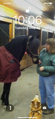 bbe36cb74e6bbf3e2e799ea90844e541-huge-fe