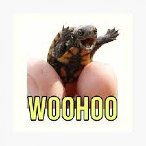 Woohoo Meme" Poster for Sale by MEMER-D | Redbubble