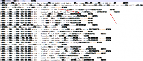 84c2d2d1ee00f2dc9fcba473c8d6bfb8-huge-im