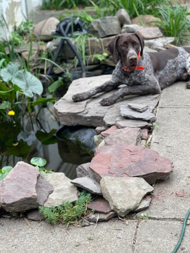 05e541631c3eaee11898386c0d3786dd-huge-be