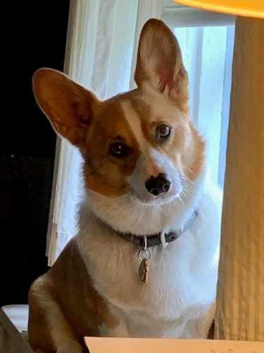 0af1cd551e7f83becd5475118caae1b2-huge-dy