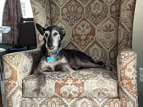 366dd60d299c748f4f2d99cc2fc13652-huge-20