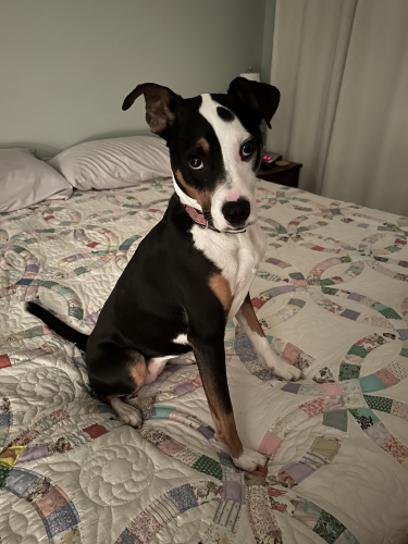 6f7a18b09bca2f07285dc847a8c39060-huge-ma