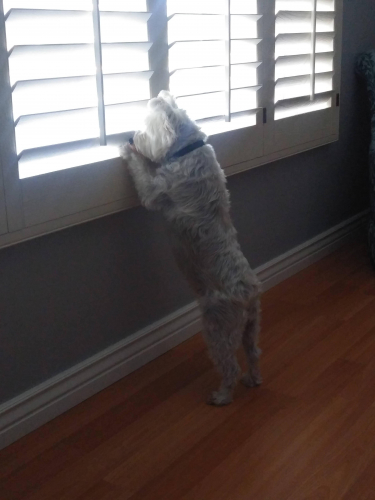 cac93ea51598dd6cabca6d1e547e49b0-huge-20