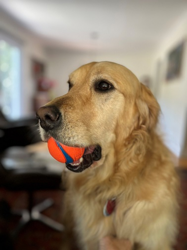 f947412fafbeb5ce945ff8560b9af349-huge-iz