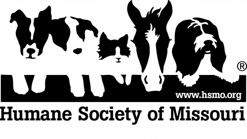 A black background with white text Description automatically generated