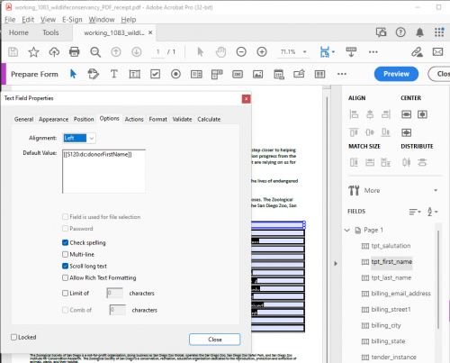 Screen shot of the "Options" tab using Adobe Acrobat Pro