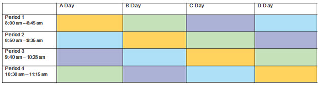 colorful sched grid pic 6