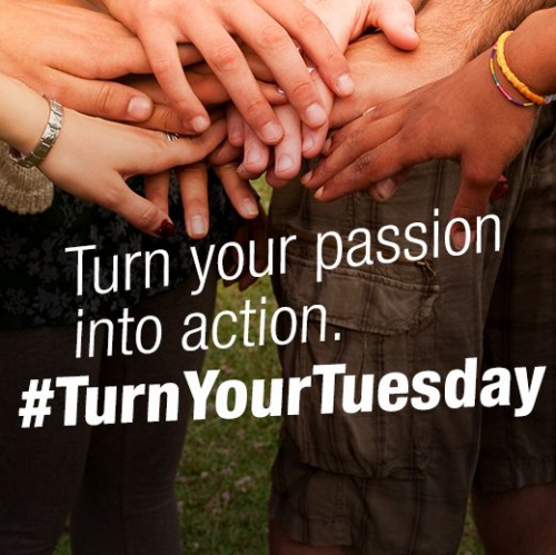 bffa206f389406f1297f66f39eb3337b-huge-gi