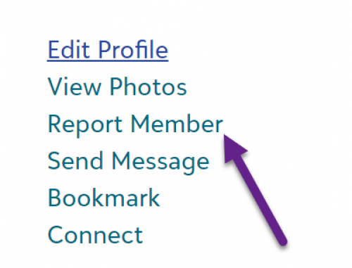 Report Profile 34ba289275610ed7aa43351379784ab5-huge-re