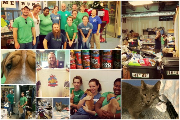 Blackbaud Support helping Pet Helpers