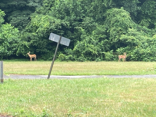 708268e58d96f79800a757695e283b77-huge-im