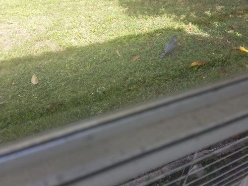 95ed1aa0961f314e77ac9863f269c582-huge-ha