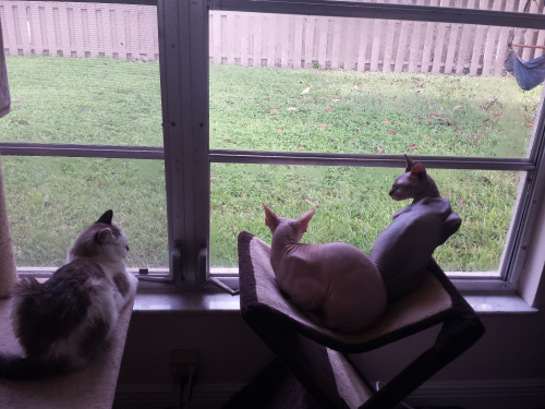 e44961cfa63037728f597bed56b8035b-huge-ca