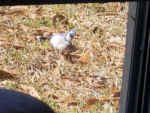 ed1ce4d1b9b18813e1b47dd0e163eb98-huge-20