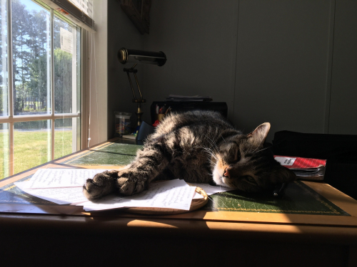 2a1707d476d35b93b3009d4d91b53ee7-huge-bo