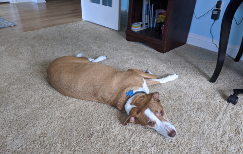 8ebfae528c07a718b6b65932ad7bb463-huge-ri