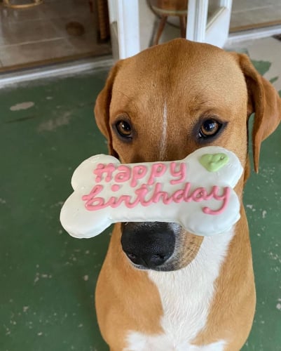 7424687817157cd85029d76fe960ad0c-huge-lu