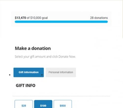 Goal Meter 1 d830f743c3242054fdf3db75d8b3597a-huge-go