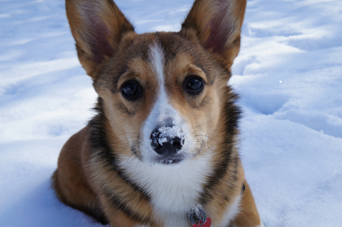 de87924ae749d7b9eb5c3fc2412292cb-huge-ds