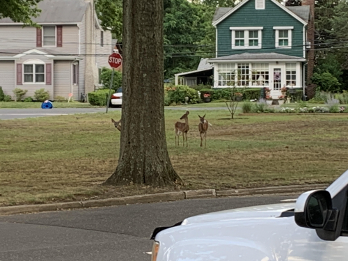 625a93ecd843b220c146854318e3ca9e-huge-cl