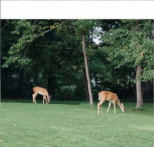 e89b43a19bf6dfb1d0f047cfbbfe2d0d-huge-ba