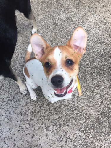 5e551e0b69de82a8ec608848b318688c-huge-im