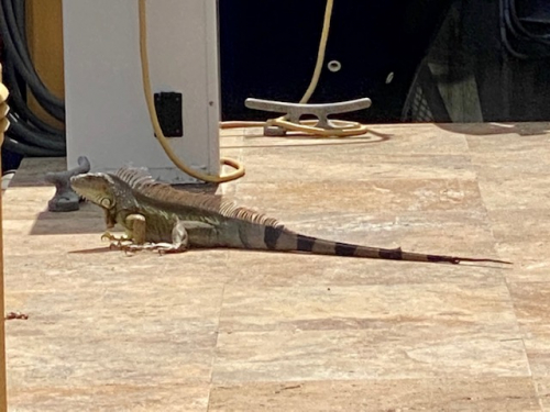 1be0725c66ae9f96a305fced544ddd27-huge-im