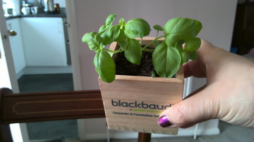 cb69794ba37926568baaa276ddd1b0bc-huge-wi