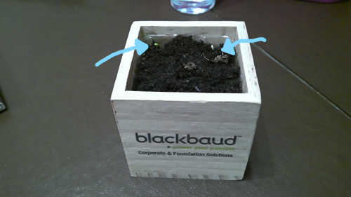 e3eeefa56462670bb2523a9269252cc4-huge-wi