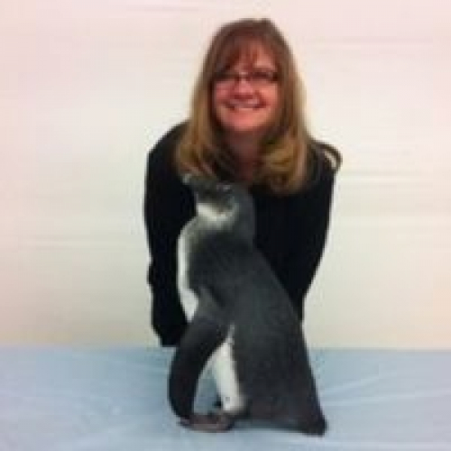 lori_elder_penguin_200x200 18ee7dd010bfcfd21118cb9a4f5109e2-huge-lo
