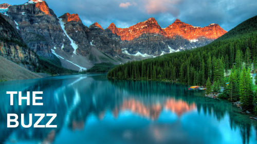 a416141d4d6cebf8da1c6590a14ae19d-huge-bu