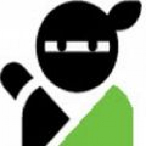 green_ninja_050422_120x120 b38663b14b7414cb18e4b8ba0b19857a-huge-gr