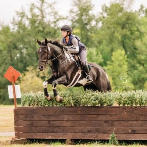 c5431b6505b77c9aa1193de4c8d7d0c6-huge-pr