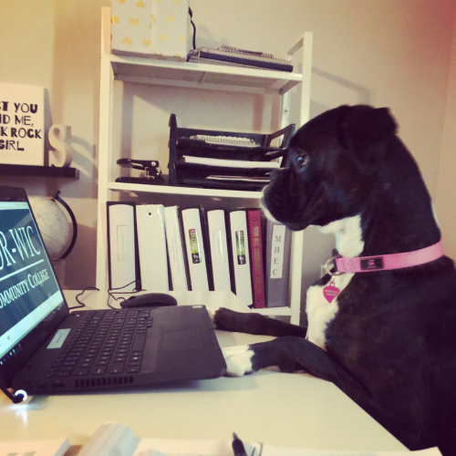 8cf0398833a78403e690772ea544bbcb-huge-pu