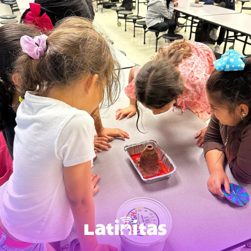 286ba3af9ea59ce69559b9669d6d7e24-huge-vo