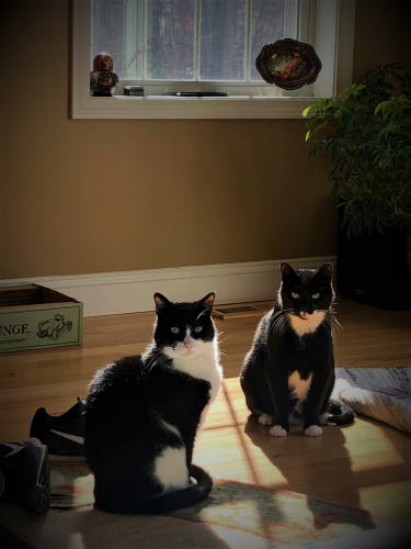 4355e1e83316c968b29a9b693308b9fe-huge-ca